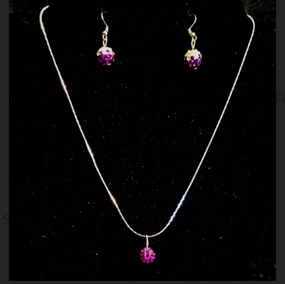 Set of Necklace and Earrings NWT